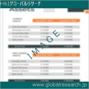 グローバルリサーチ調査レポートのイメージ